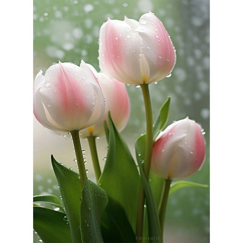Diamond Painting-Die rosa-weißen Tulpen, die vom Regen getränkt sind