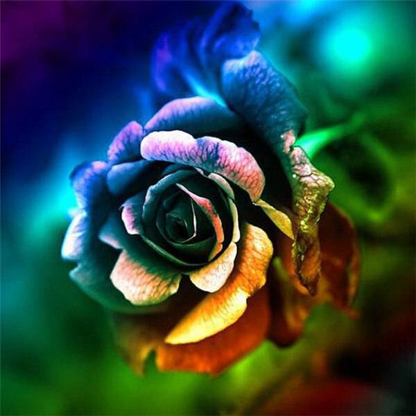Diamond Painting-Leuchtende Farbenpracht