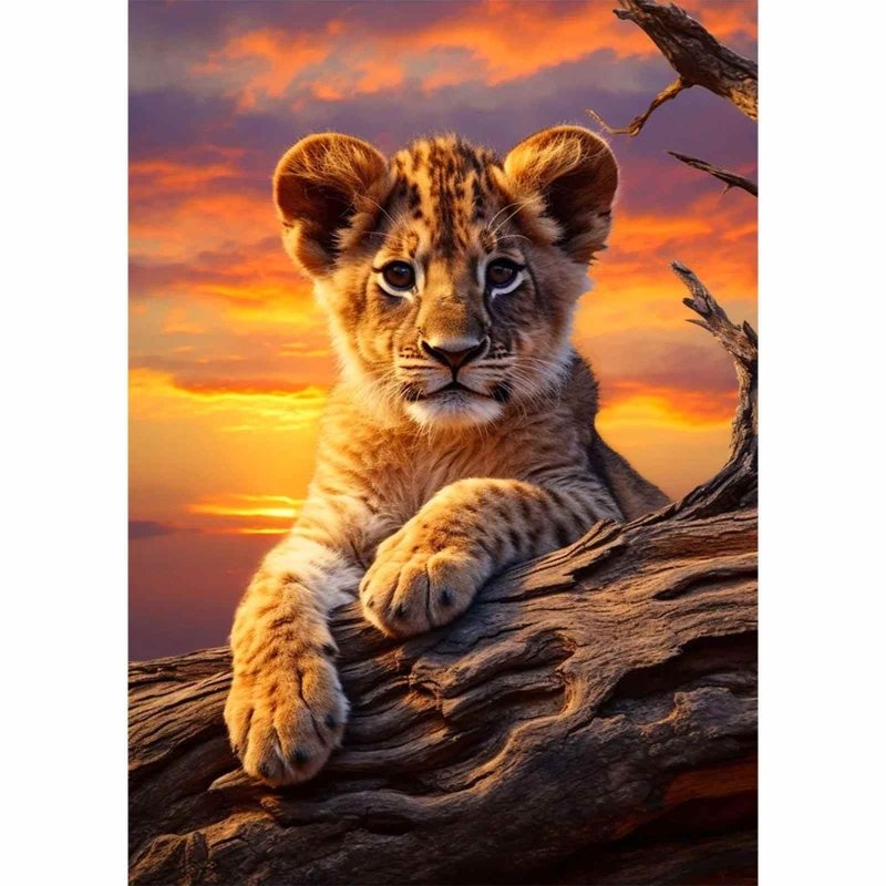 Diamond Painting-Löwenbaby im Sonnenuntergang