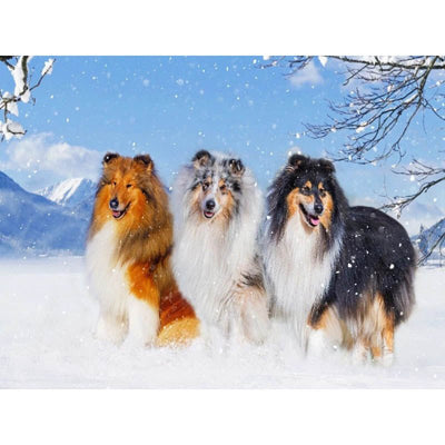 Diamond Painting-Baby-Winterfreunde
