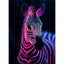 Diamond Painting-Das magische Zebra