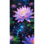 AB Diamond Painting-Starry Sky