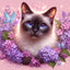 Diamond Painting-Siamkatze und Blumen - Jetzt bei diamondspainting kaufen