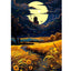 Diamond Painting-Sternennacht im Kornfeld