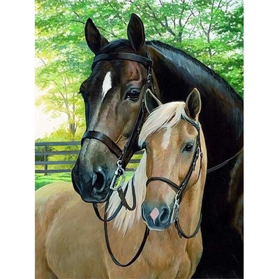 Diamond Painting-Zwei Pferde in der Natur